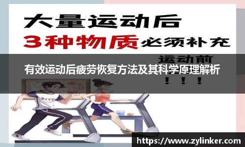 有效运动后疲劳恢复方法及其科学原理解析